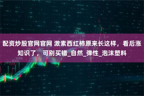 配资炒股官网官网 激素西红柿原来长这样，看后涨知识了，可别买错_自然_弹性_泡沫塑料